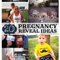 20 Pregnancy Reveal Announcement Ideas