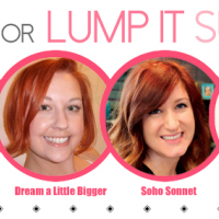 Link It Or Lump It #45 (My Last Party, So Sad)