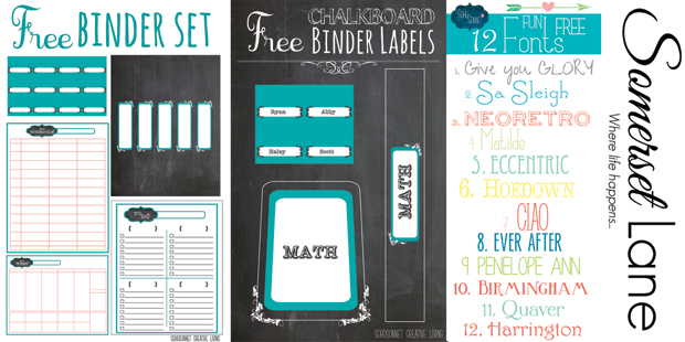 Link It Or Lump It SohoSonnet