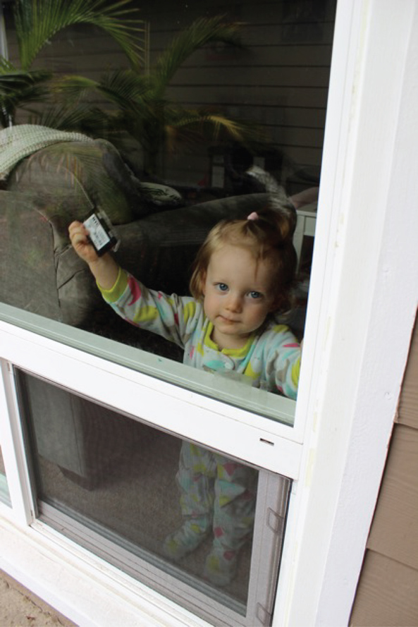 Rustic Succulent Grapevine Wreath