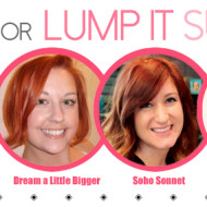 Link it Or Lump It Link Party #42