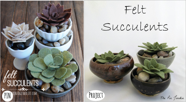 Felt-Succulents