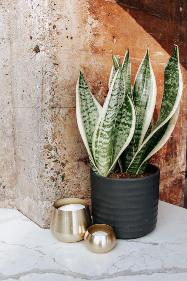 outdoor candle gold candle 